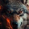 lobo42343