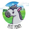 petitponey62
