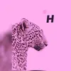 _hb_48