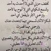 user8495559908288