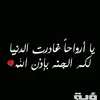 user7445575030166