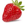 fresa_strawberry_y