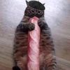 i_love_baguettes
