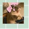 unicornkid1