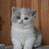 manar756776