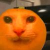 alex_24095