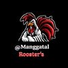 manggatalrooster