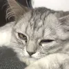 meomun.2014