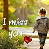 sabbir44338