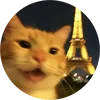 drixx_211