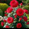 user1408240990214