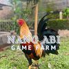 nangabigamefarm