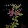 faizo7677