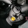 im45113131