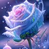 anita.salsabila.s