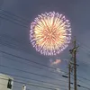 shunta0804525
