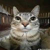 fausto_591