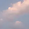 abbasalgrayawi