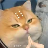 creamcat0801