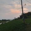 rapaell010509