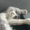 cryingfati