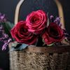 smpl_grl4