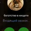 em.gribochky