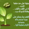user33345082914365