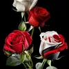 rahandsorany28