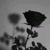 xytraa_abcdell