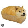 wisipringle