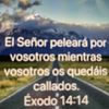 user76656608122043