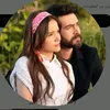 .rzin45