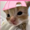 Blacpink mis esposa y twice 💗