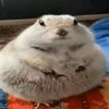 i_eatsoapbars