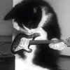 adi_raahhhh