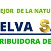 salamandra276