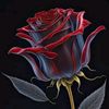 user18127743781904