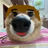 kawakiwtg_pp