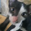 nho_anh365ngay