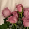 iraqi_noon