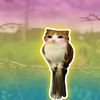 kitty_kartz