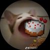 jacky_swat