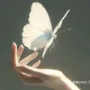 dao.mai.lik07