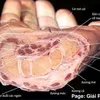 hearingaid888