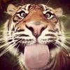 annamaria._13