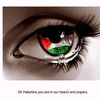 free.palestine7163