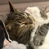 lolyxbinky