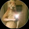 josevargas435