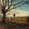 fine_ks